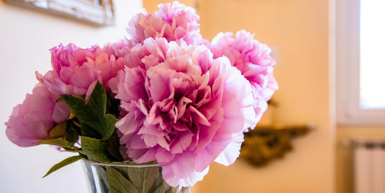 Il Palagetto B&B Floransa Dış mekan fotoğraf